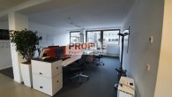 Repräsentatives Büro mit prominenten Nachbarn - Innenansicht_