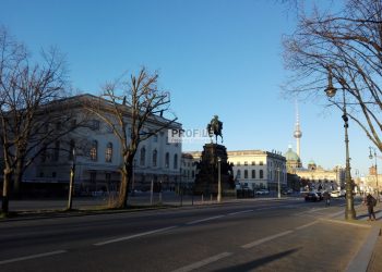 Büroräume in bester Lage in Mitte, 10117 Berlin, Bürofläche